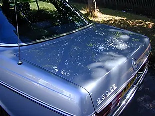 Used 1981 Mercedes-Benz 230 W123 Coupe Blue - Interior and Exterior details 13