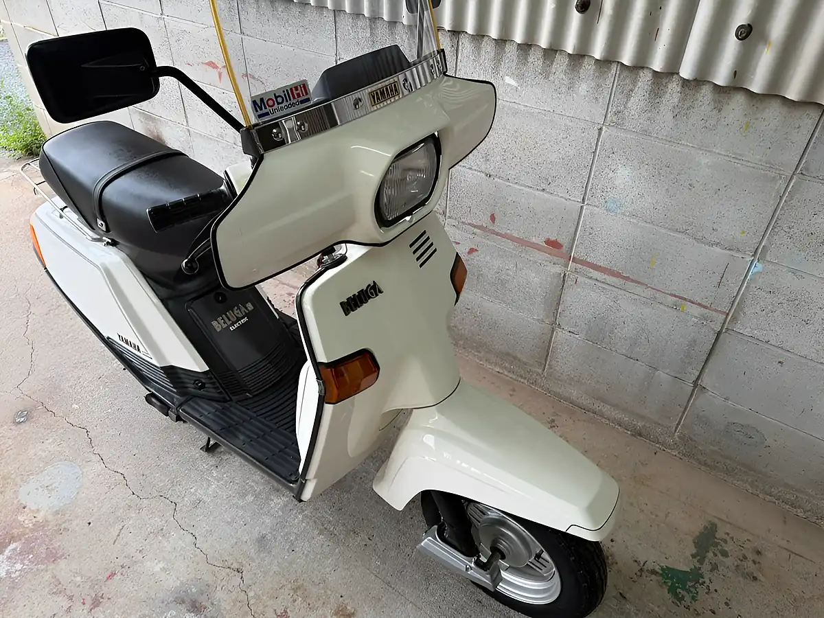 Used 1981 Yamaha Beluga White - Interior and Exterior details 3