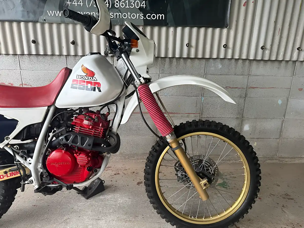 Used 1985 Honda XLR250R MD16 Red White - Interior and Exterior details 12