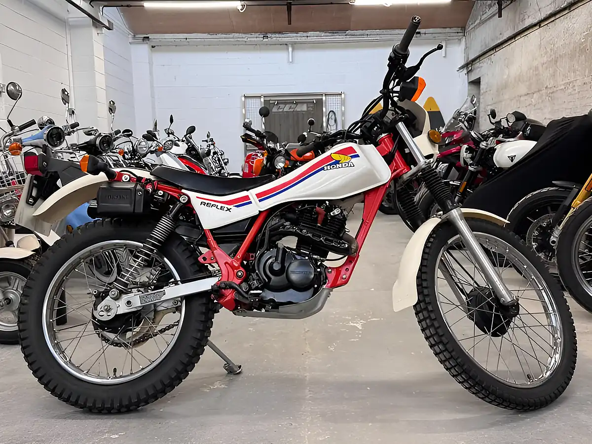 Used 1986 Honda Tlr 200 Reflex White - Front View
