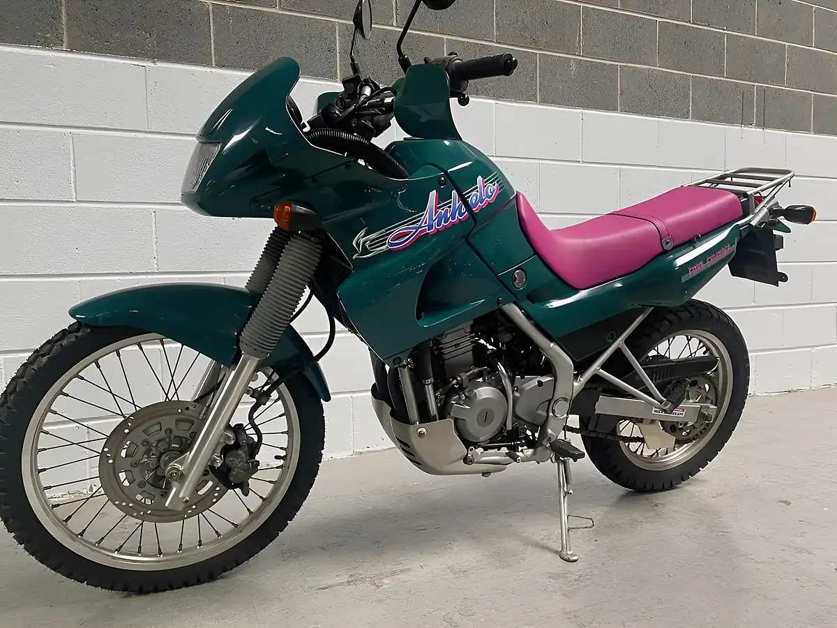Used 1993 Kawasaki KLE250 Anhelo Green - Interior and Exterior details 11