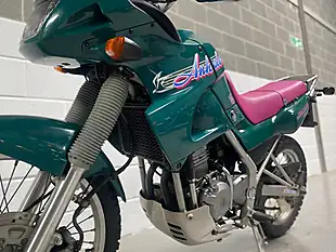 Used 1993 Kawasaki KLE250 Anhelo Green - Interior and Exterior details 15