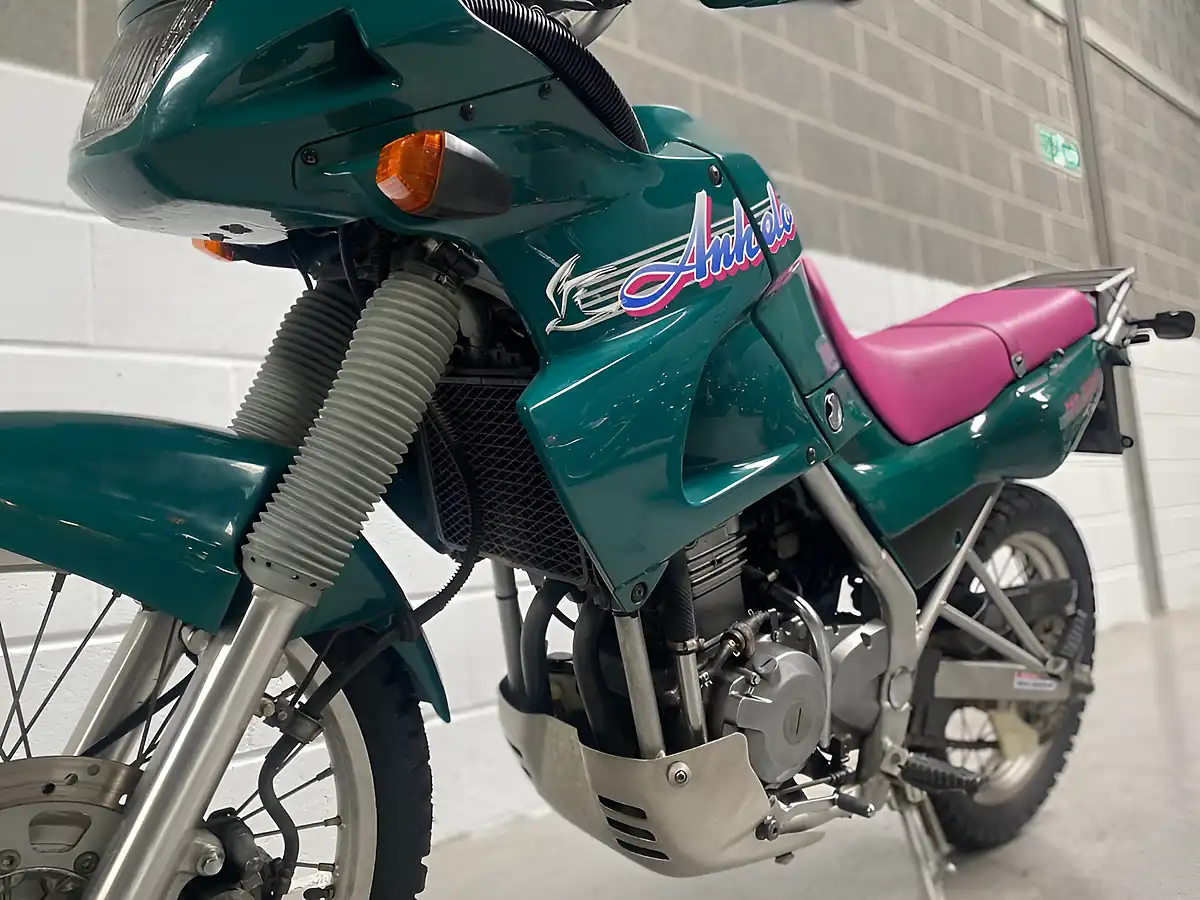 Used 1993 Kawasaki KLE250 Anhelo Green - Interior and Exterior details 15