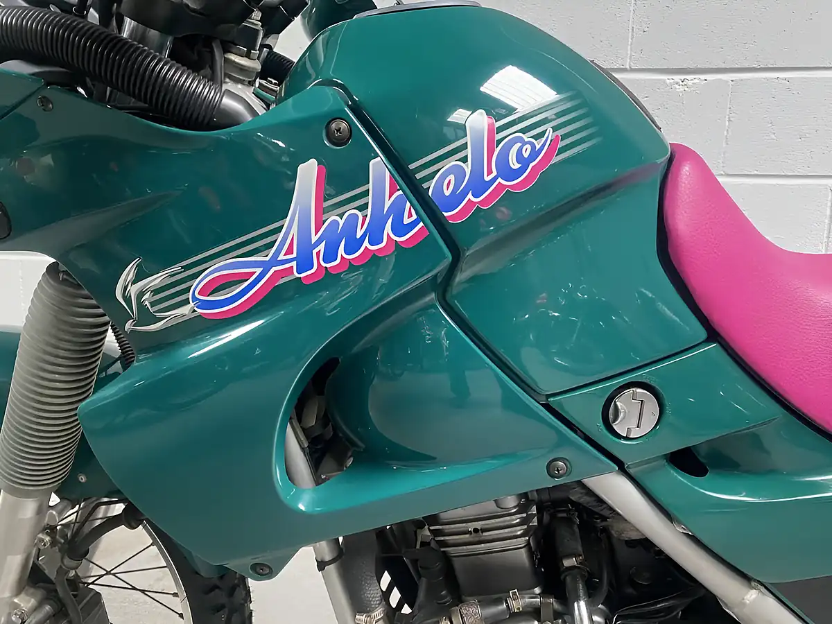 Used 1993 Kawasaki KLE250 Anhelo Green - Interior and Exterior details 17