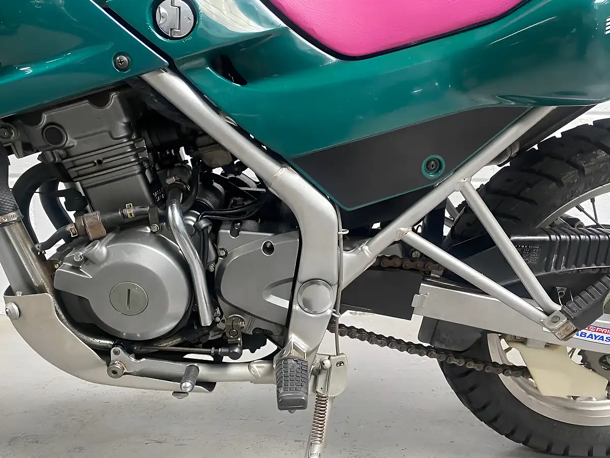 Used 1993 Kawasaki KLE250 Anhelo Green - Interior and Exterior details 19