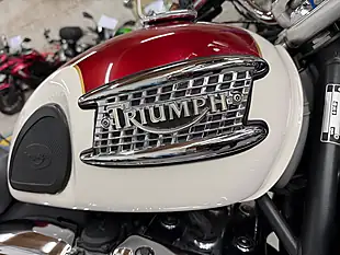 Used 2002 Triumph Thunderbird 900 Two-Tone - Interior and Exterior details 5