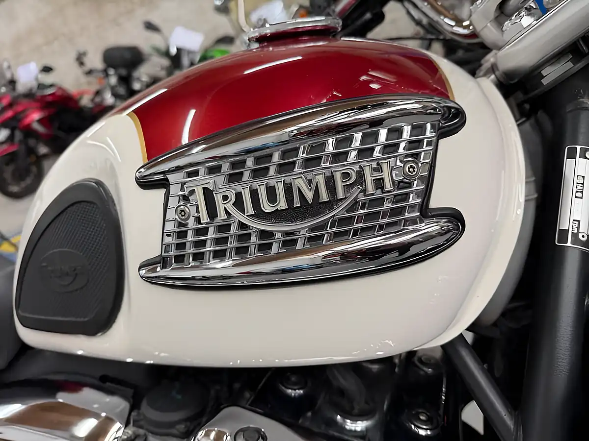 Used 2002 Triumph Thunderbird 900 Two-Tone - Interior and Exterior details 5