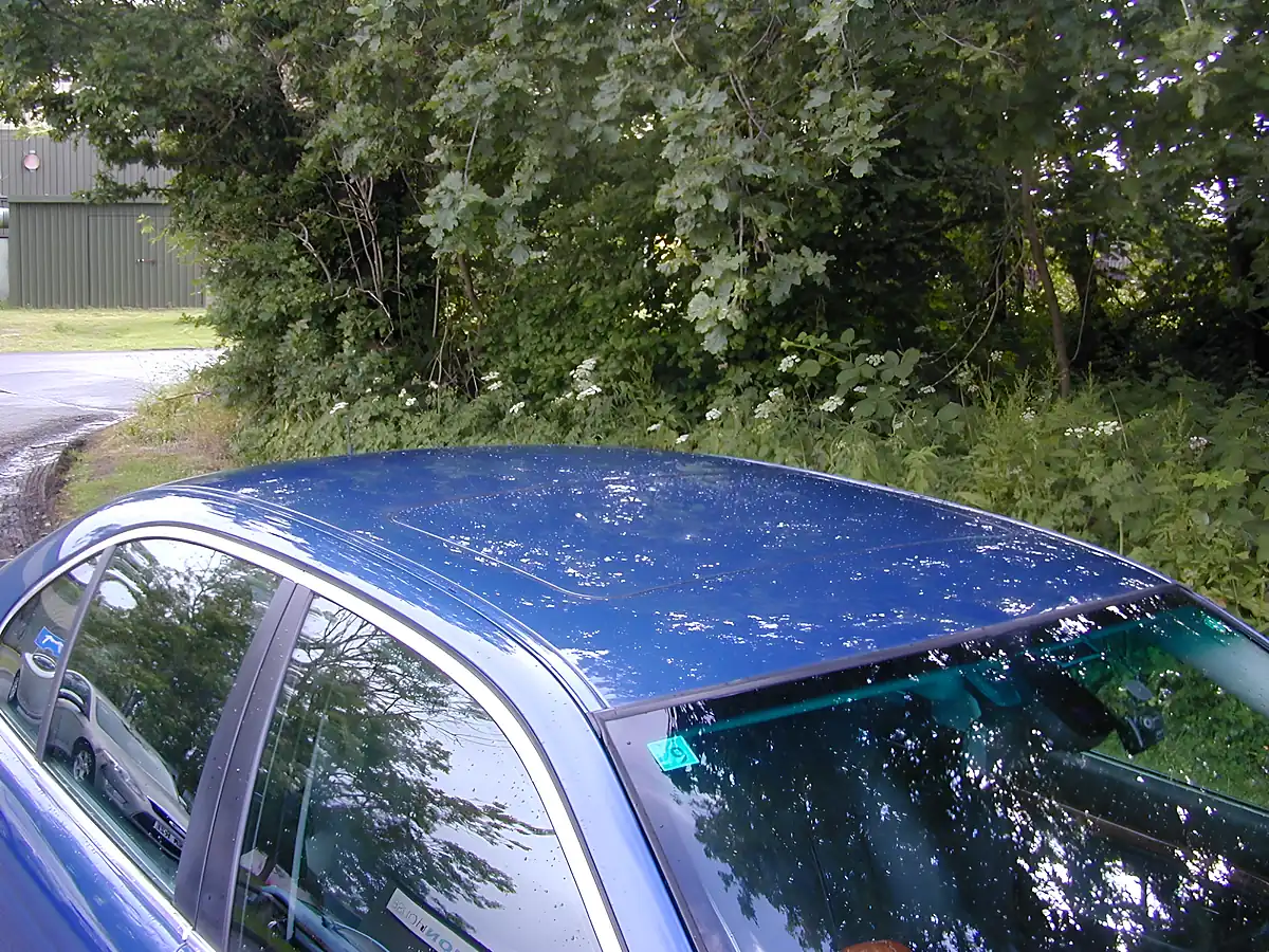 Used 2003 BMW 5 Series Individual 20th Japan Edition Blue - Interior and Exterior details 10