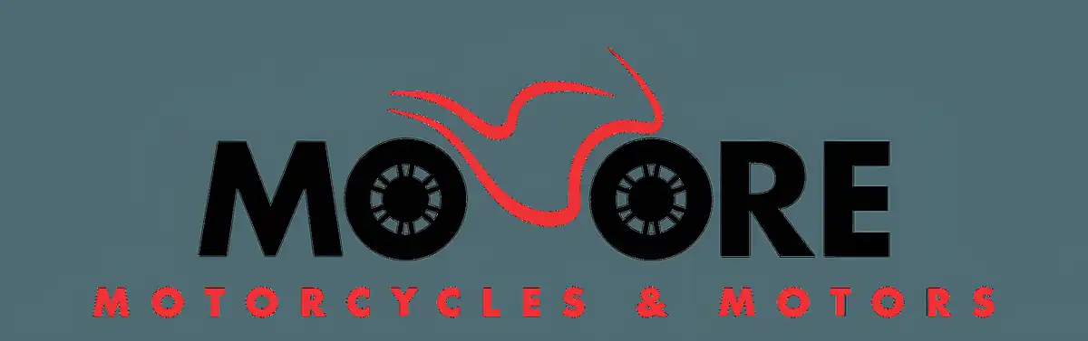 Used 2004 Suzuki SV1000 Silver - Interior and Exterior details 4