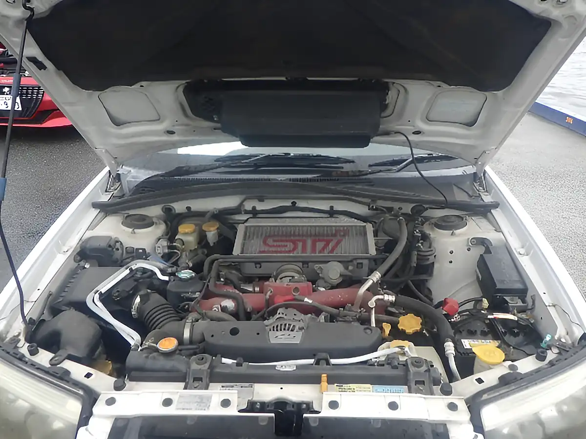Used 2005 Subaru Forester Sti SG9 White - Interior and Exterior details 3