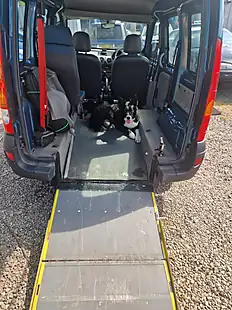 Used 2008 Renault Kangoo Authentique Blue - Interior and Exterior details 12