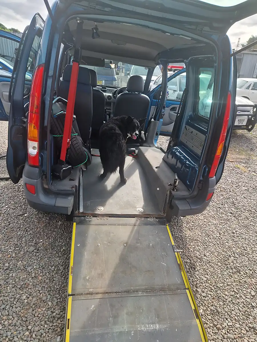 Used 2008 Renault Kangoo Authentique Blue - Interior and Exterior details 18