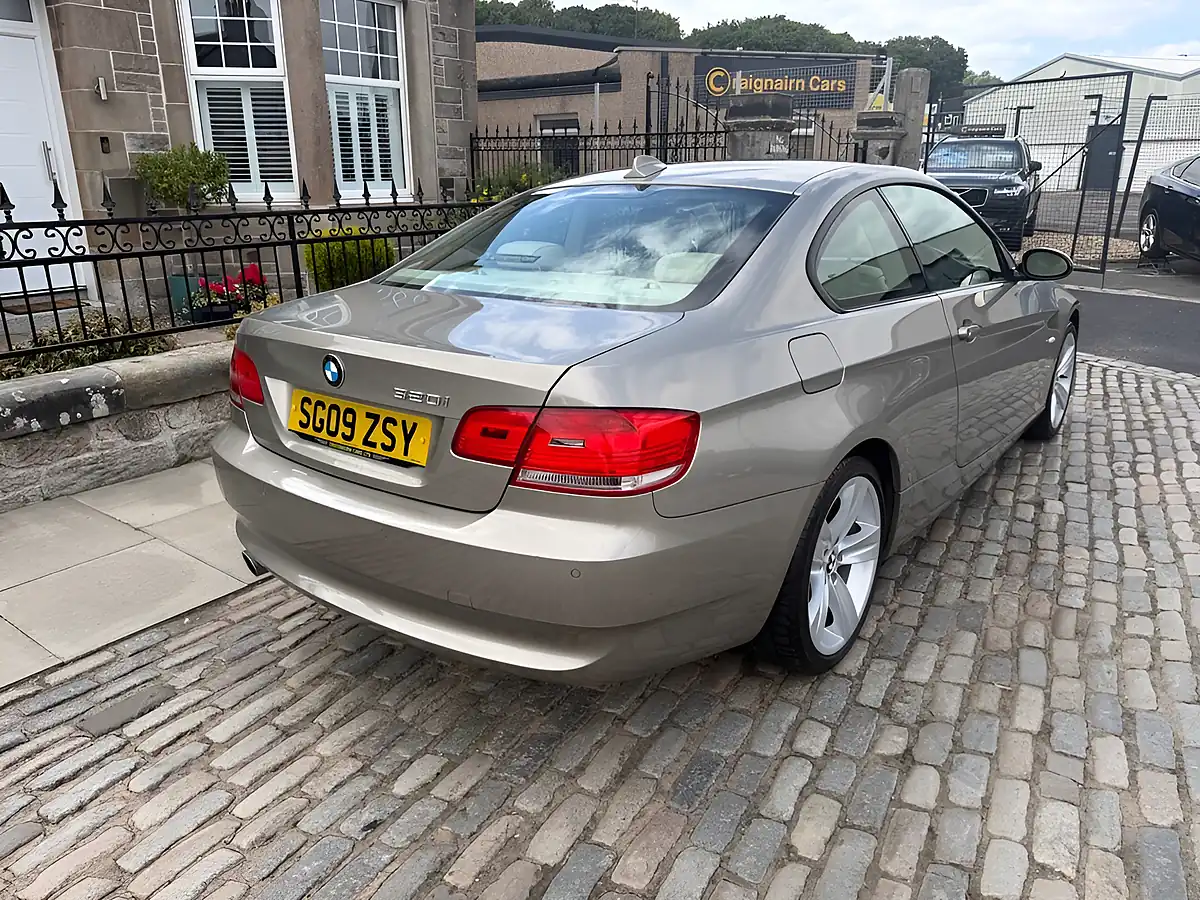 Used 2009 BMW 3 Series Se Highline Platinum Bronze - Interior and Exterior details 11