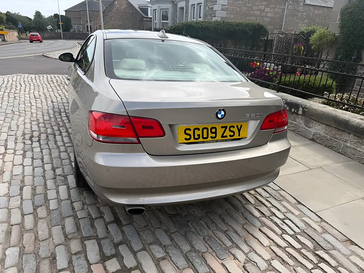 Used 2009 BMW 3 Series Se Highline Platinum Bronze - Interior and Exterior details 7