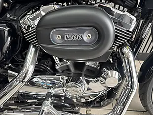 Used 2009 Harley-Davidson Xl 1200 Custom Sport Black - Interior and Exterior details 3