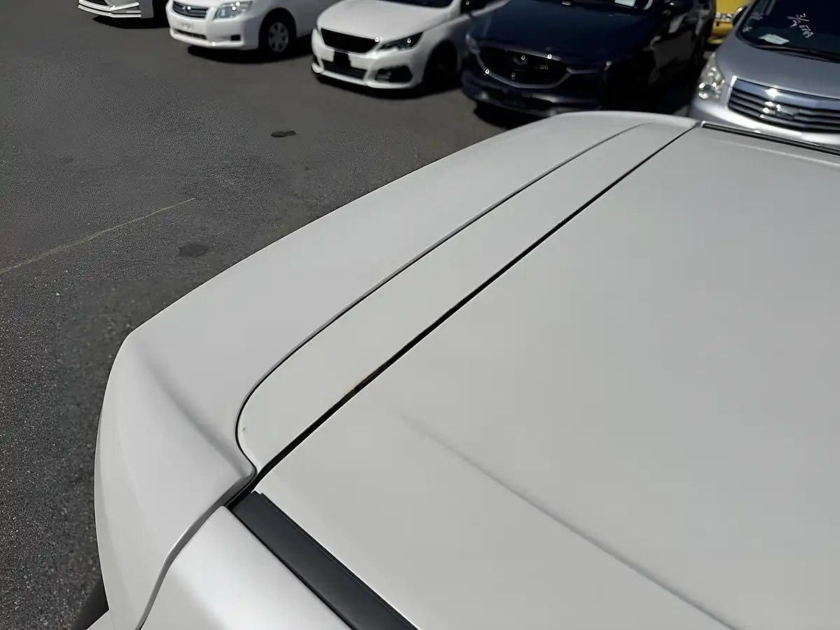 Used 2009 Toyota Vellfire Z (7 Seater) White - Interior and Exterior details 19