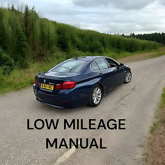 2010 BMW 520D SE