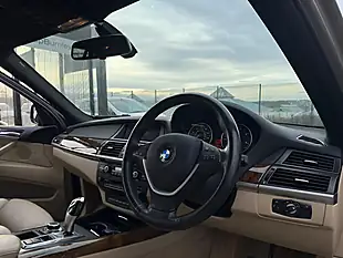 Used 2010 BMW X5 Se Platinum Bronze Metallic - Interior and Exterior details 12