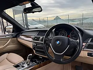 Used 2010 BMW X5 Se Platinum Bronze Metallic - Interior and Exterior details 14