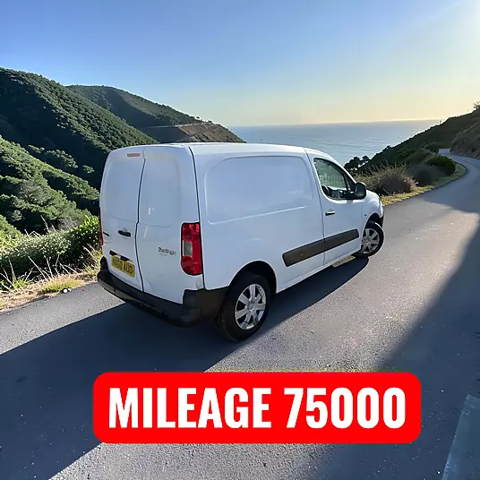 2010 Citroen Berlingo 850 LX 1.6 HDi