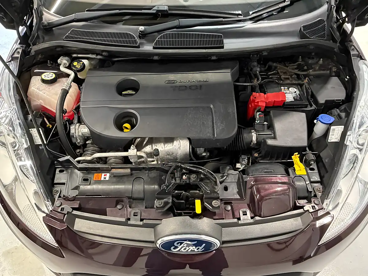 Used 2010 Ford Fiesta Titanium Red - Interior and Exterior details 10