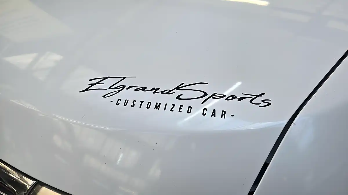 Used 2010 Nissan Elgrand Highway Star Leather Sunroof Top Spc White - Interior and Exterior details 3