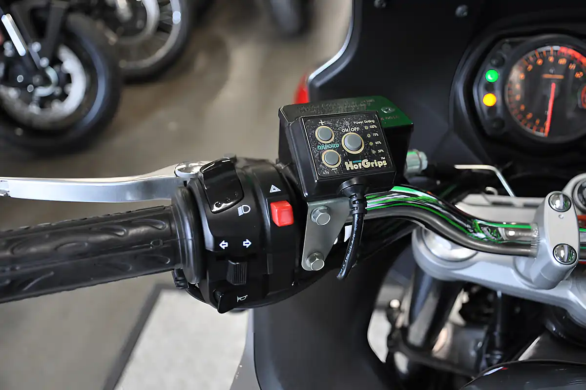 Used 2010 Suzuki GSF1250 Bandit Silver - Interior and Exterior details 6