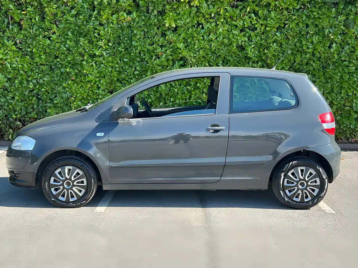 Used 2011 Volkswagen Fox Urban Fox Grey - Interior and Exterior details 6