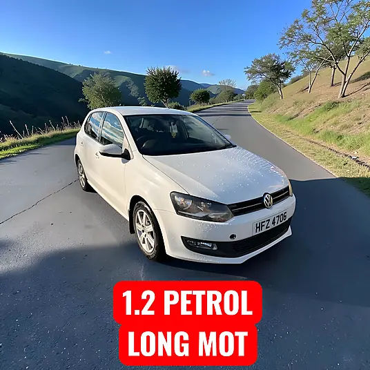 2011 Volkswagen Polo Match 1.2