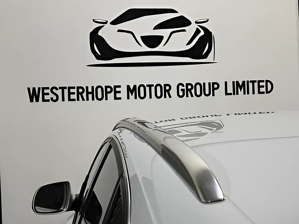 Used 2013 Audi SQ5 White - Interior and Exterior details 18