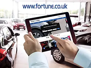Used 2013 Ford Fiesta Zetec Blue - Interior and Exterior details 17