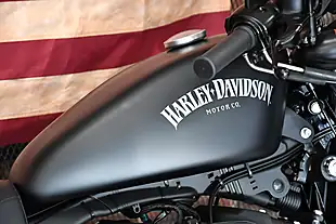 Used 2013 Harley-Davidson Sportster Iron - Interior and Exterior details 2