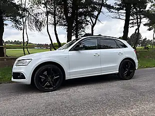 Used 2014 Audi SQ5 White - Interior and Exterior details 12