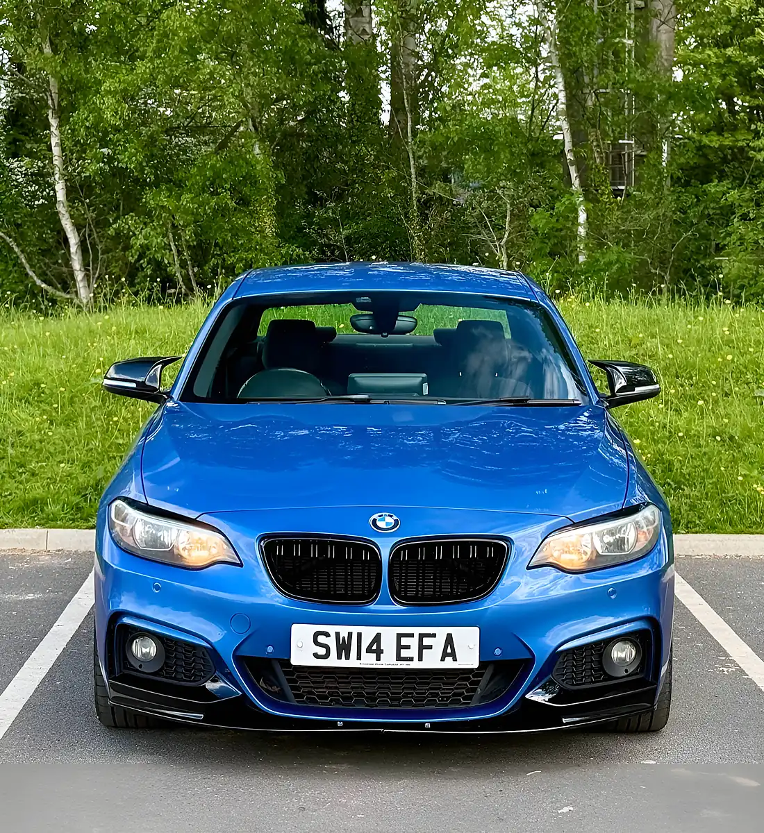Used 2014 BMW 2 Series M Sport Blue - Interior and Exterior details 10