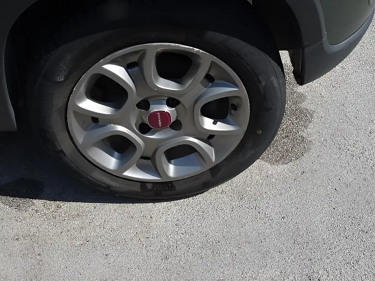 Used 2014 Fiat Panda 4X4 Green - Interior and Exterior details 14