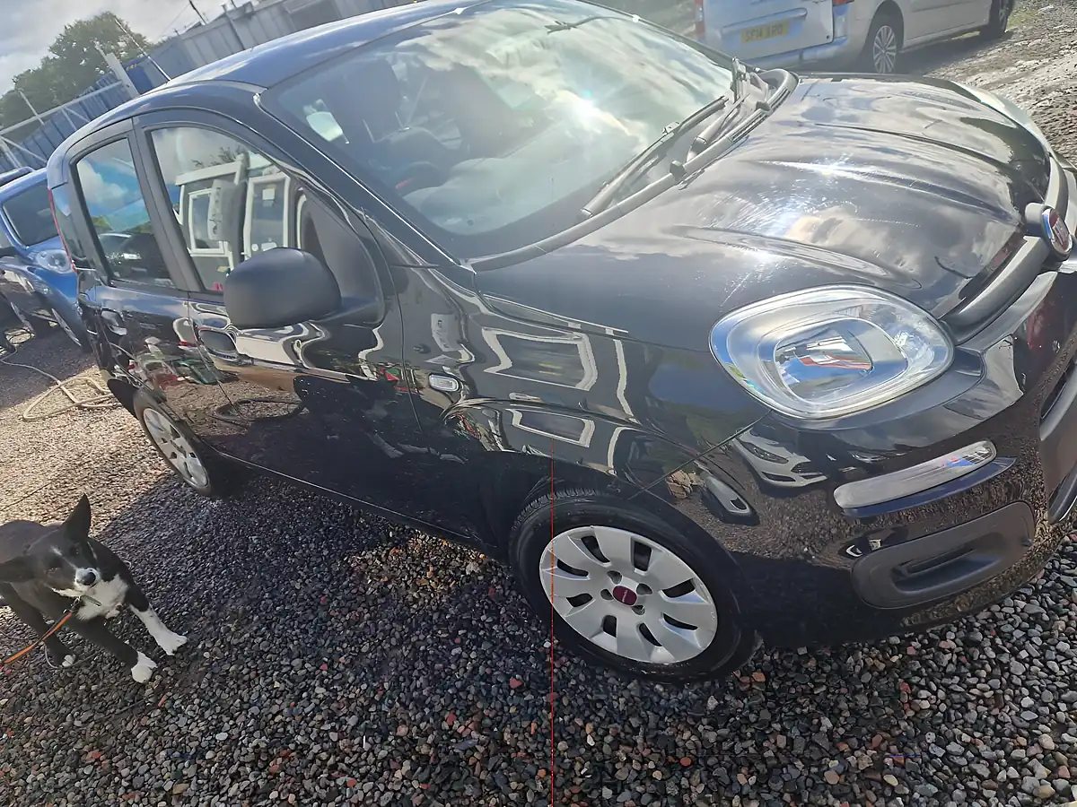Used 2014 Fiat Panda Pop Black - Interior and Exterior details 6
