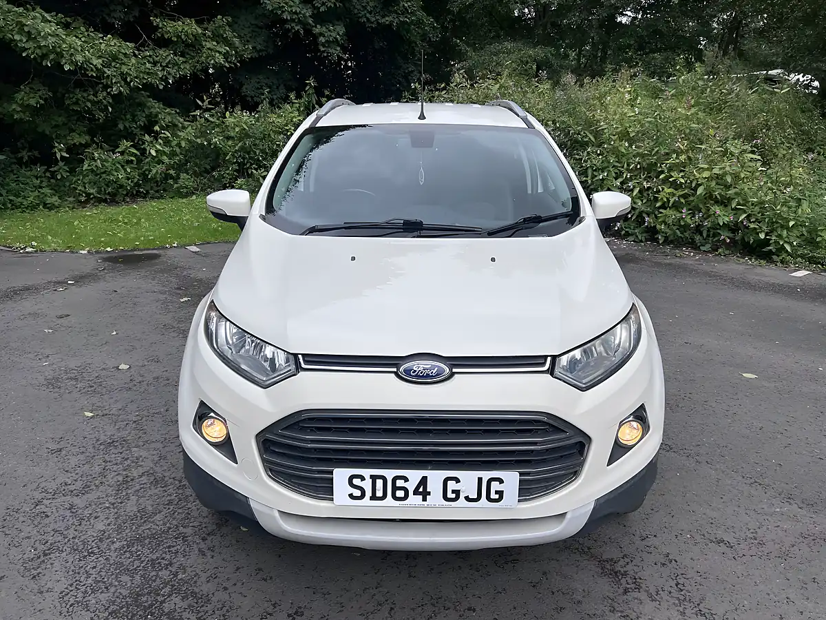 Used 2014 Ford Ecosport Titanium White - Interior and Exterior details 9