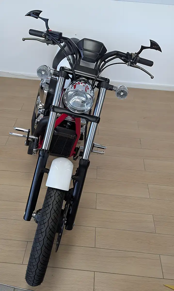 Used 2014 Honda VTX1300 - Interior and Exterior details 8
