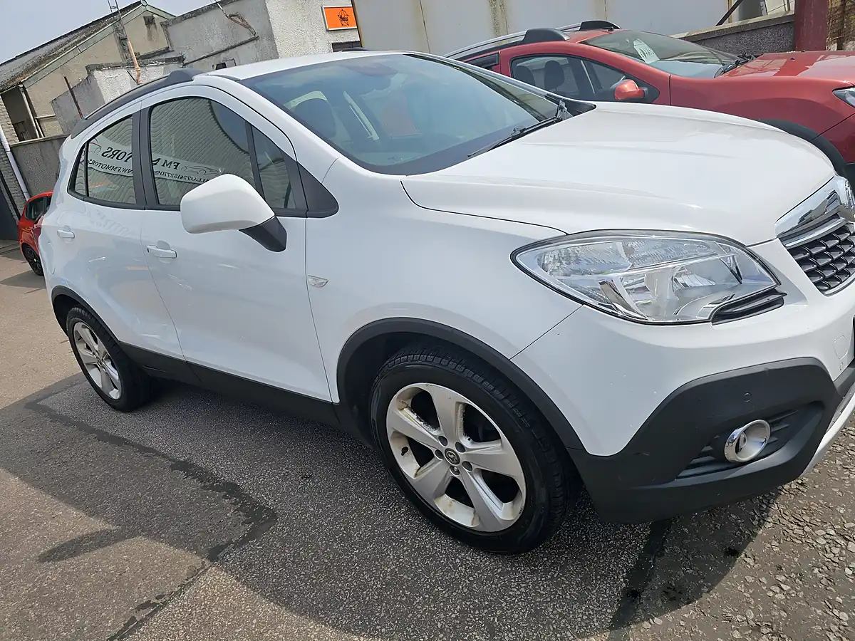 Used 2014 Vauxhall Mokka Tech Line White - Interior and Exterior details 6
