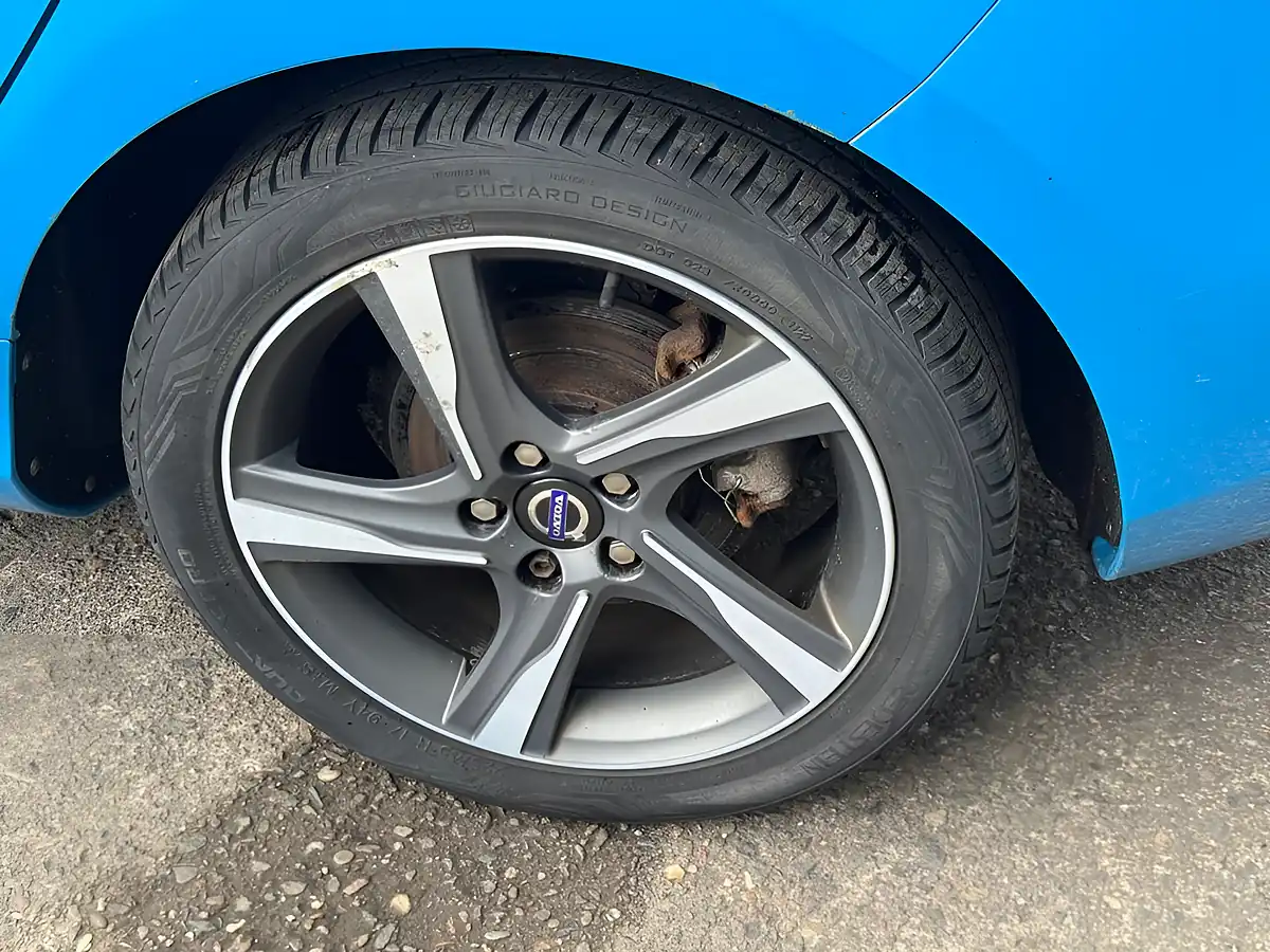 Used 2014 Volvo V40 R-Design Blue - Interior and Exterior details 18