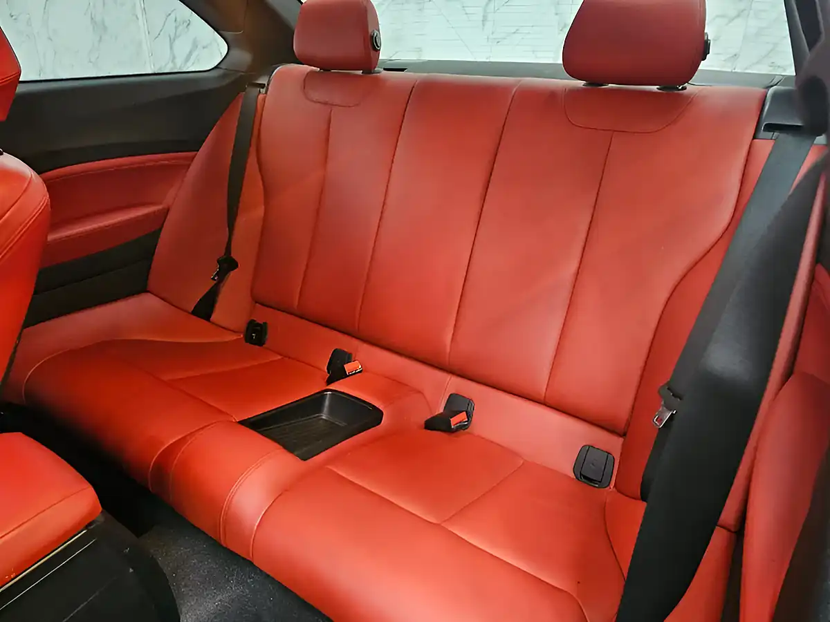 Used 2015 BMW 2 Series M Sport Black - Interior and Exterior details 17