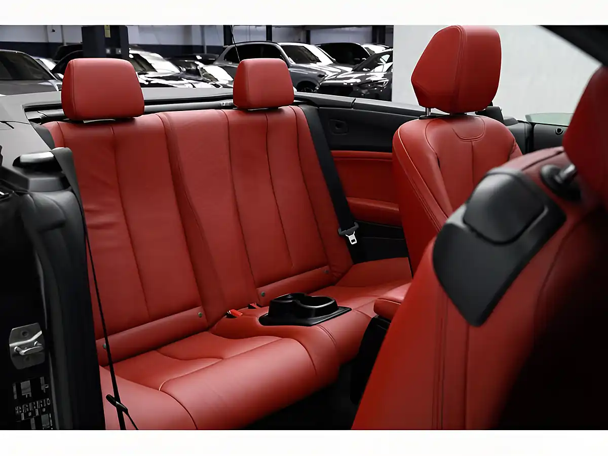 Used 2015 BMW 2 Series M Sport Grey - Interior and Exterior details 13