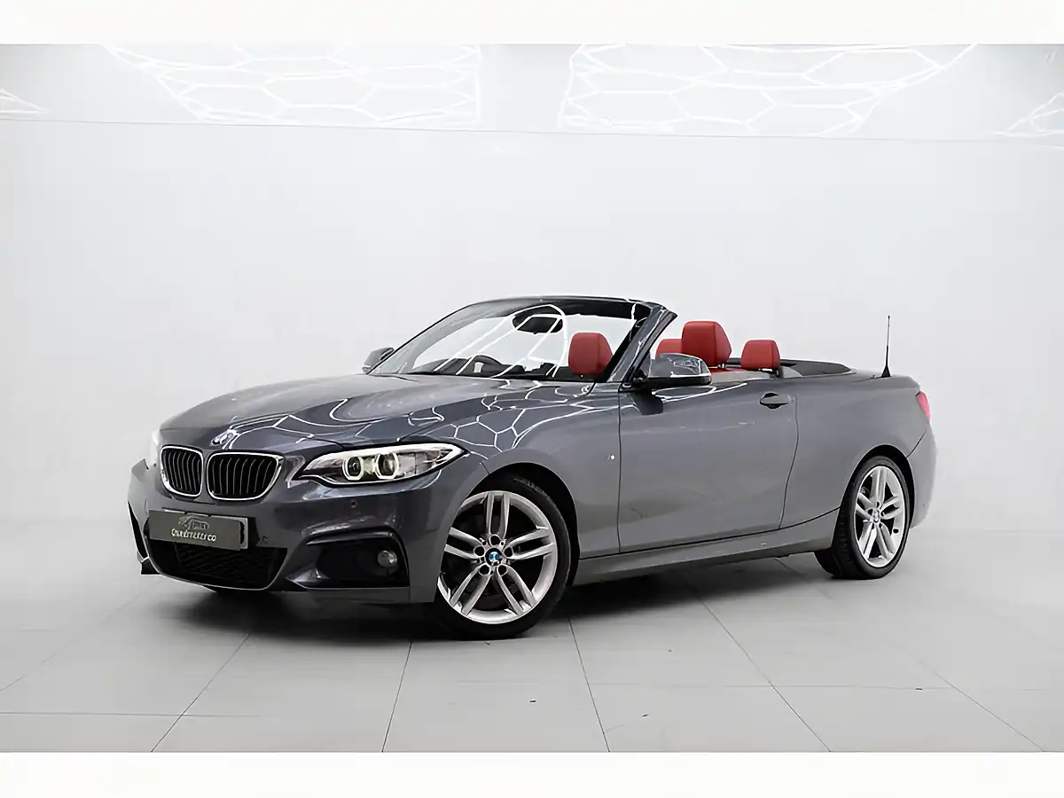 Used 2015 BMW 2 Series M Sport Grey - Interior and Exterior details 6