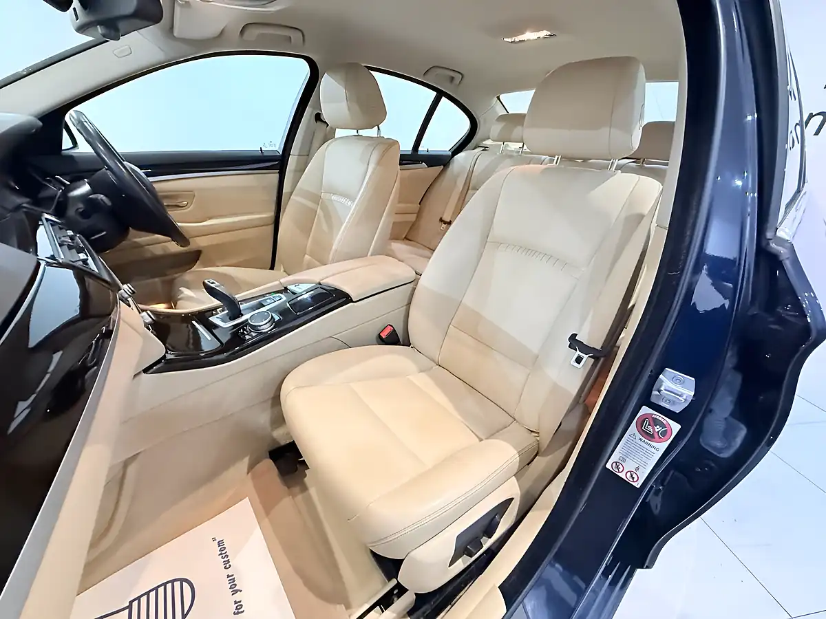 Used 2015 BMW 5 Series Luxury Blue - Interior and Exterior details 19