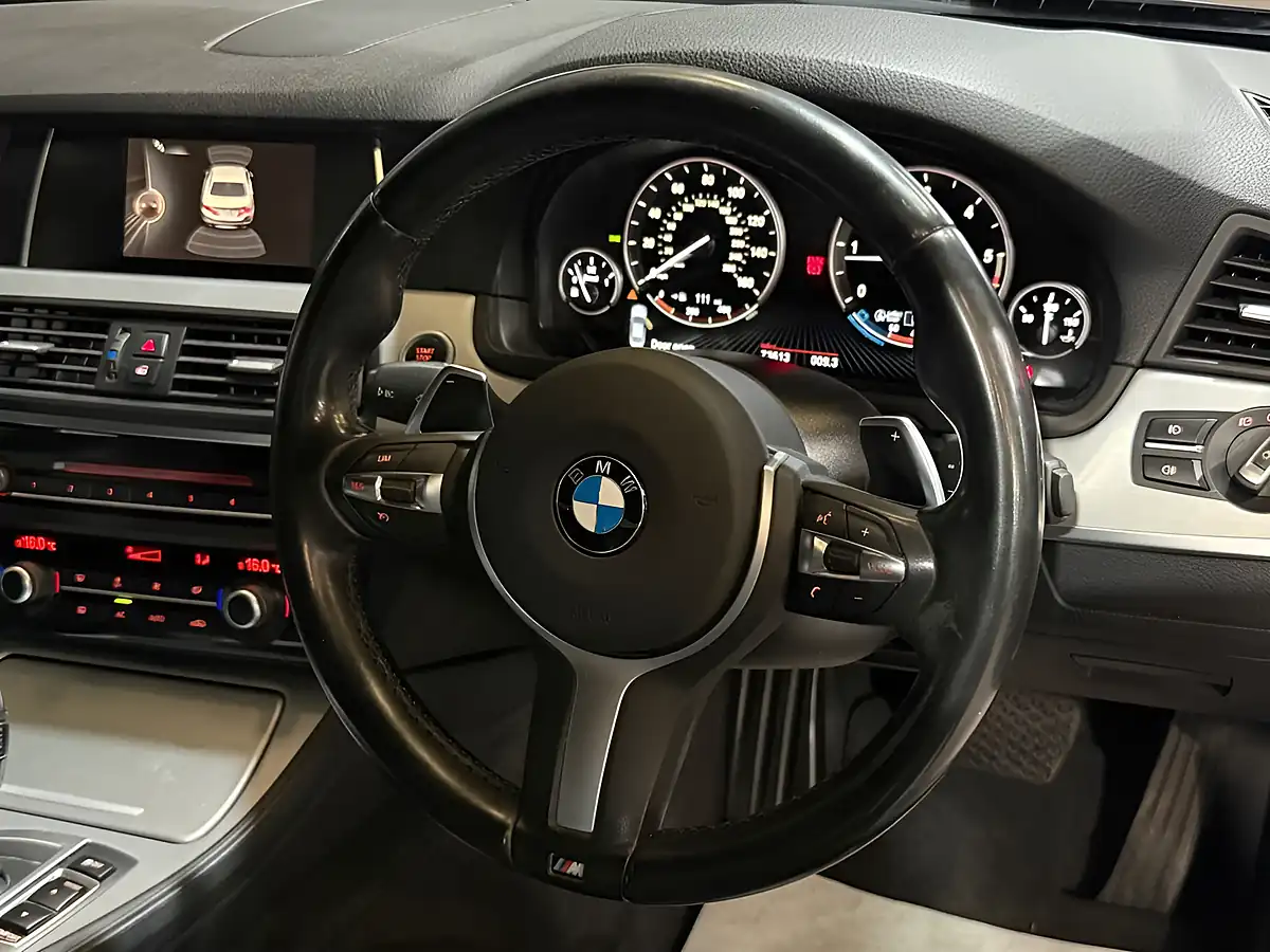 Used 2015 BMW 5 Series M Sport Blue - Interior and Exterior details 9
