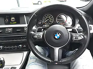 Used 2015 BMW 5 Series M Sport White - Interior and Exterior details 13