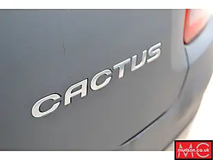 Used 2015 Citroen C4 Cactus Flair Black - Interior and Exterior details 15