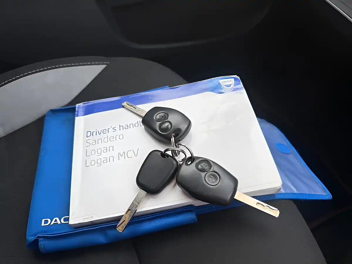 Used 2015 Dacia Sandero Stepway Ambiance Silver - Interior and Exterior details 19