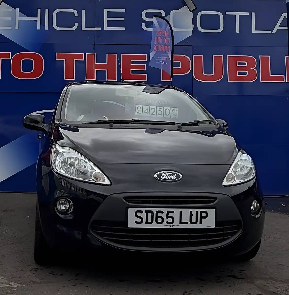 Used 2015 Ford Ka Zetec Black Edition Black - Interior and Exterior details 5