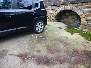 Used 2015 Jeep Renegade Limited Black - Interior and Exterior details 5